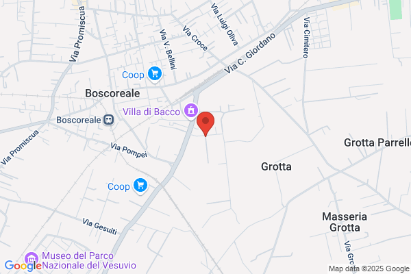 Tennis Club Borrelli
