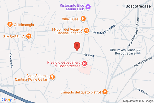Varcaccio plinio (Notaio)