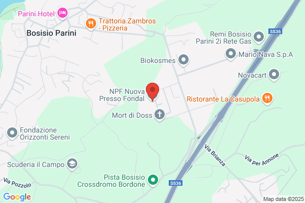 N.P.F. Nuova Presso Fondal Spa