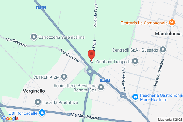 Sandrini rodolfo (Arch.)