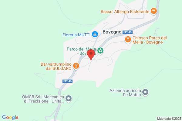 Savioni fiorenza