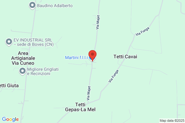 Martini eugenio