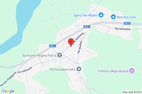 Quaglia brunella
