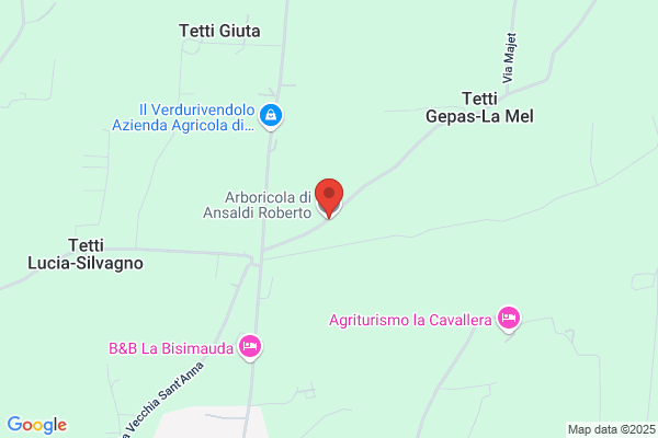 Fratelli Ansaldi Srl