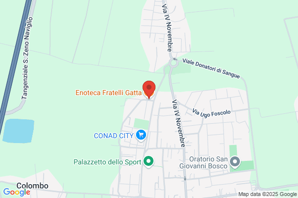 Gatta Fratelli