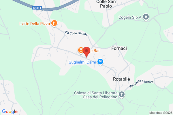 Mizzoni gino