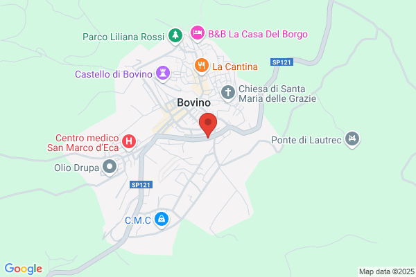 Istituto Professionale Industria E Artigianato