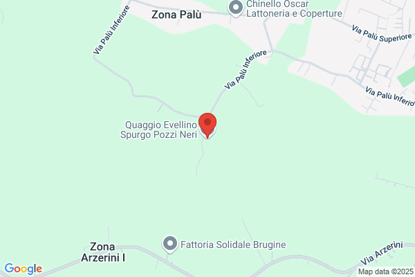 Quaggio Evellino Spurgo Pozzi Neri