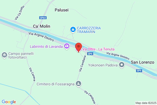 Leonardi tamara