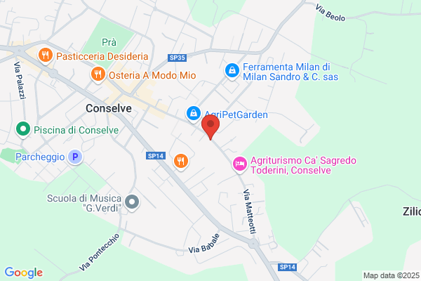 Volo Pizza Conselve