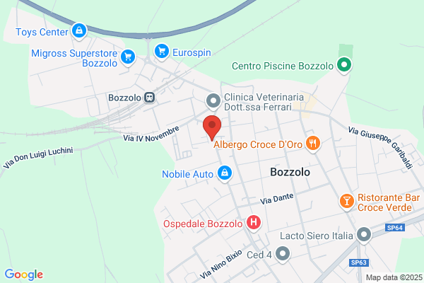 F.Lli Traldi Autotrasporti Di Traldi Franco E Amssimo snc