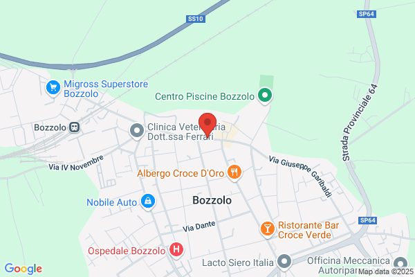 Istituto Comprensivo Di Bozzolo - Scuola Media