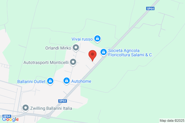 Leoni roberto