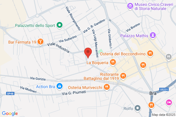 Mondialcar Service S.N.C. Di Boglione F. & c.