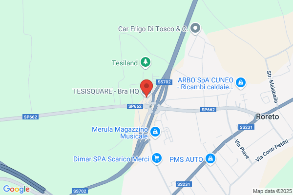 Tesi Srl