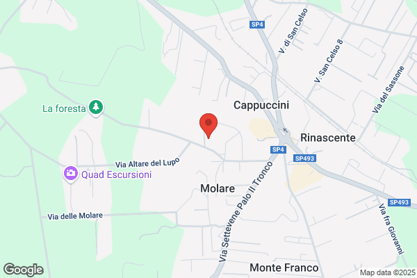 Isi-Impresa Sviluppo Innovazione-Srl