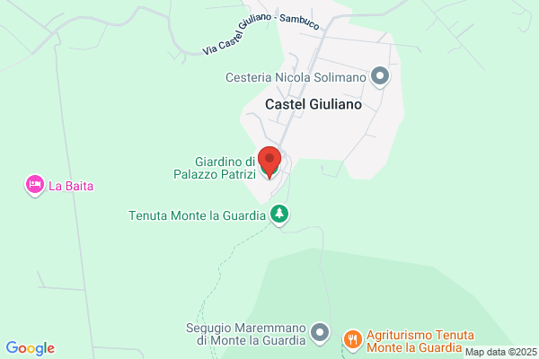 Comitato Per La Festa Delle Rose Onlus