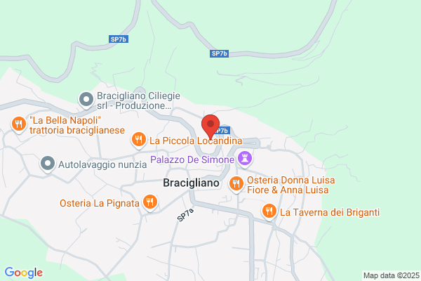 Istituto Suore Francescane Dellimmacolata Concezione