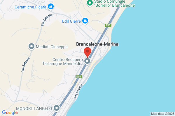 F.I.M.M.G. Segreteria Provinciale