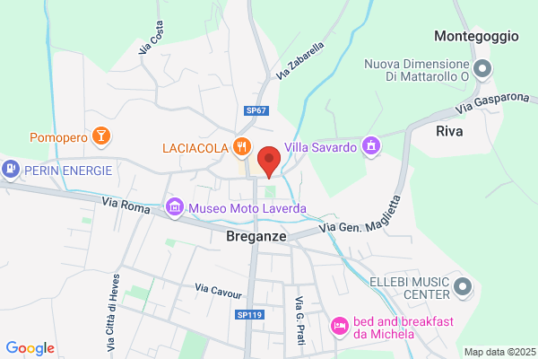 Zonin gianfranco (Dr.)