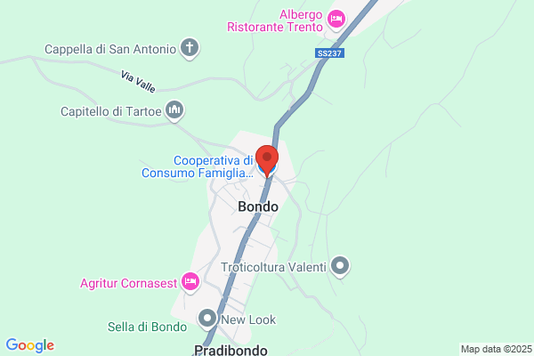 Famiglia Cooperativa Di Bondo S.C.A.R.L.