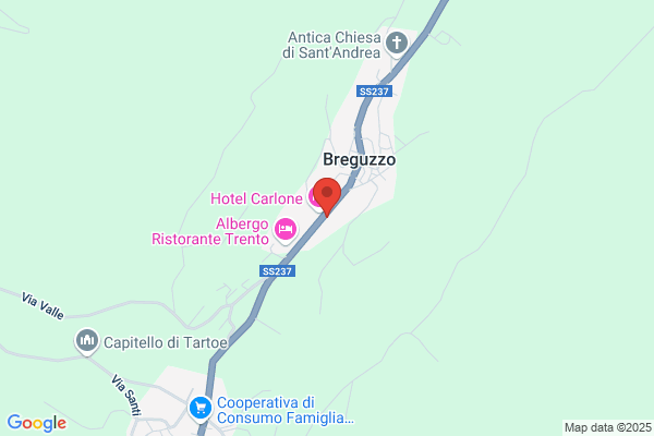 Pizzeria Ristorante Alpino