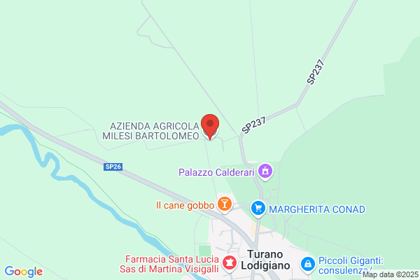 Milesi Silvio E Bartolomeo