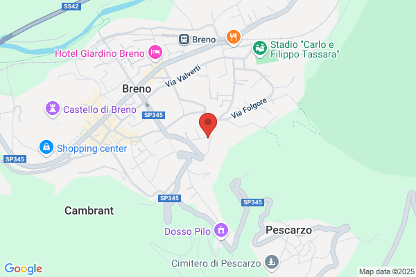 Fioreria Bice Tansini Di Vielmi Anna Maria & c. s.N.C.