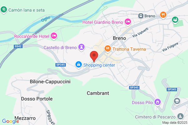 Telefonia Comunicazioni Servizi E Gestioni Srl