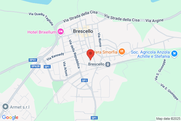 Zanichelli remo