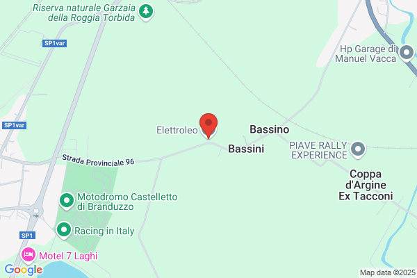 Elettrauto Elettroleo