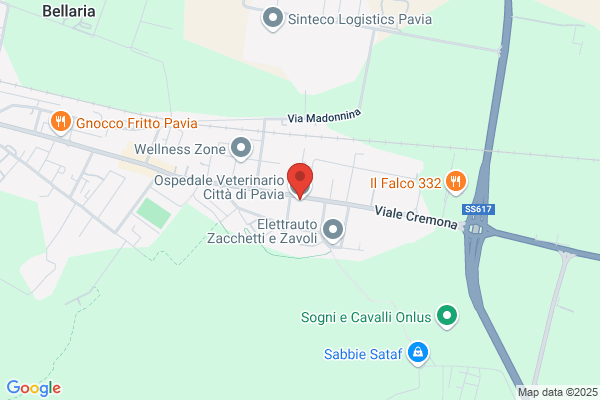 Clinica Veterinaria Citta Di Pavia