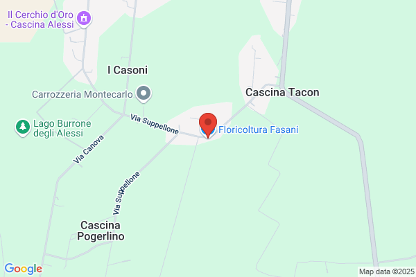 Fasani Massone Maria Gabriella