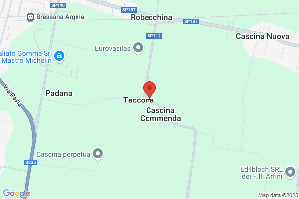 Megazzini guido