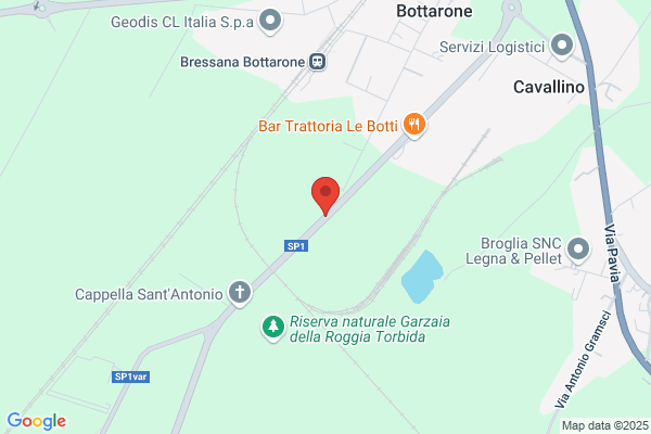 Milanesi luigi