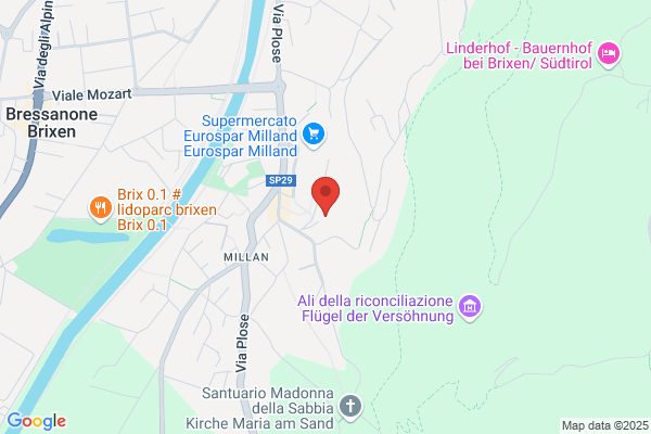 Organizzazione Per Un Mondo Solidale%organisation F:ur Eine Solidar/// (Ische we