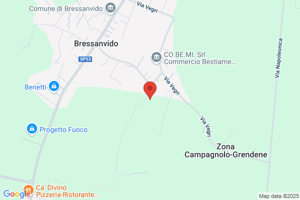 Mazzocco