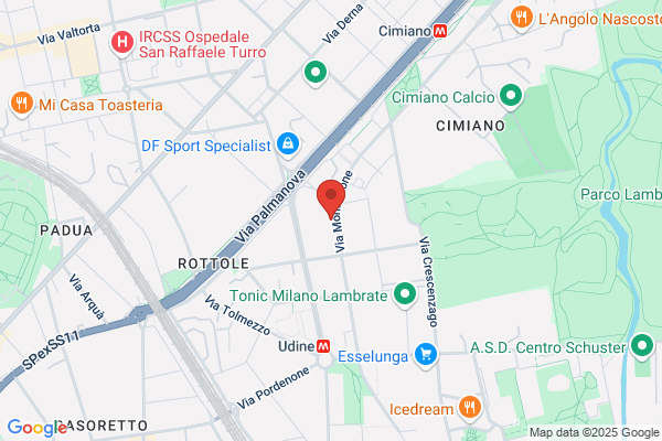Viesse Auto