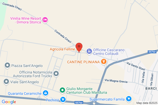 Felline Giancarlo (Avv.)