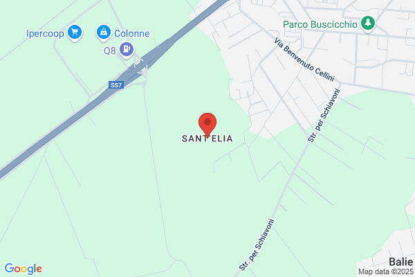 Sanigienica