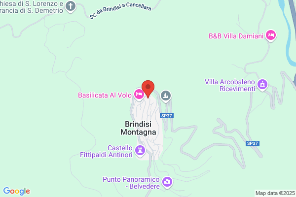 Pisani attilio