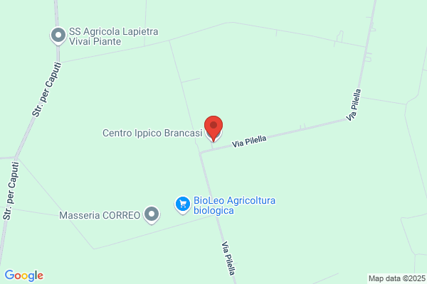 Centro Ippico Brancasi