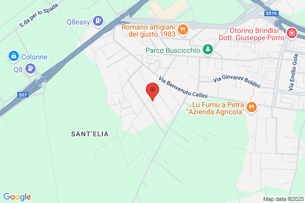 Autotrasporti Brindisi Lecce e Taranto e provincia Angelo Bagnato Traslochi
