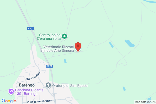 Ambulatorio Veterinario Associato Rizzotti Dr. Enrico e Ario Dott.ssa Simona