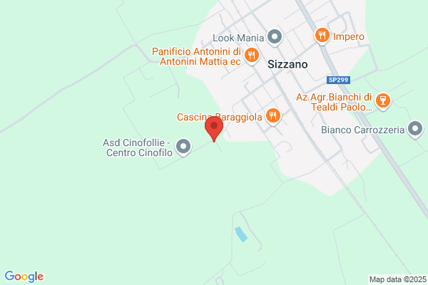 Cavallanti Ivano