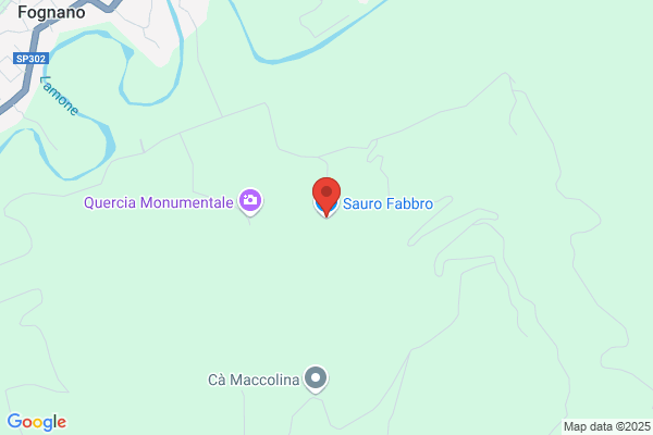 Sauro Il Fabbro