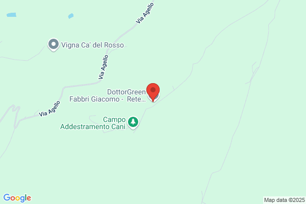 Fabbri Giuseppe (Dr.)