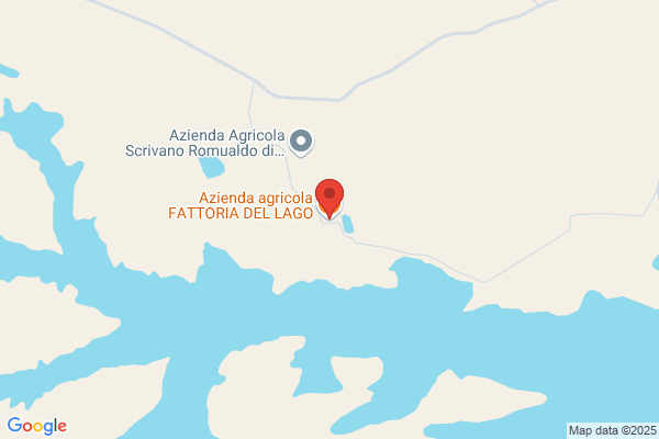 Fattoria Del Lago Di Morini P.E C. snc