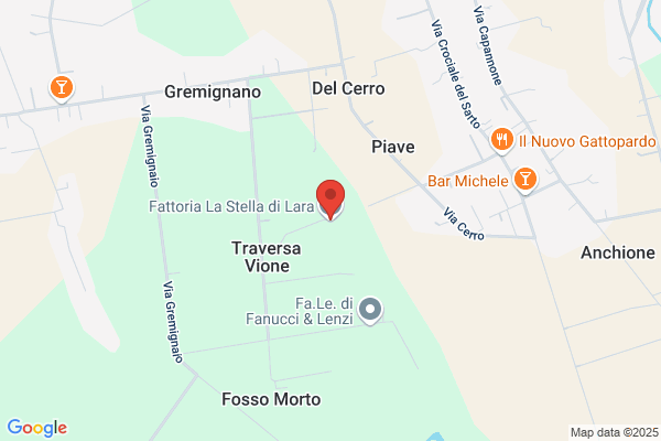 Fattoria Rio Stella Di Ghetti Dr. Alberto