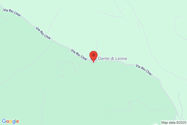 Lionetti ruggiero